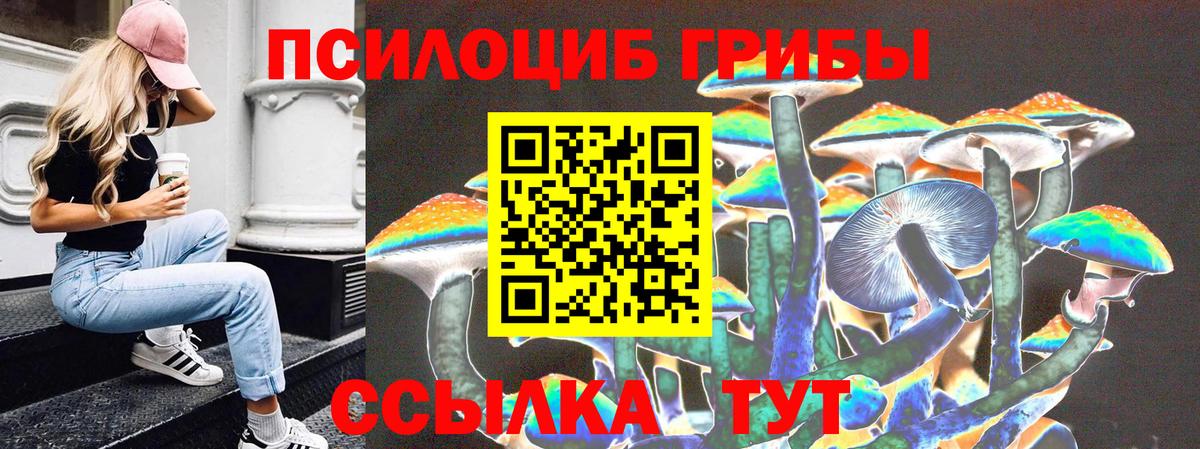 Псилоцибиновые грибы прущие грибы  Галлюциногенные грибы Psilocybine cubensis  Осинники  магазин продажи наркотиков  Вход с VPN 